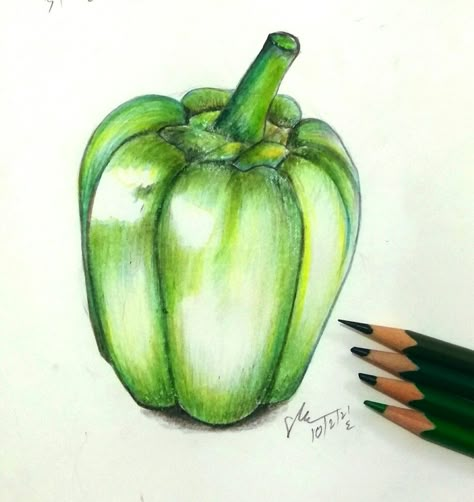 By santosh Kumar. Capsicum Drawing, Pencil Colour Painting, Colored Pencil Artwork Ideas, Colour Pencil Art, Vegetable Drawing, Fruit Art Drawings, Basic Sketching, Crayons Pastel, Art Eras