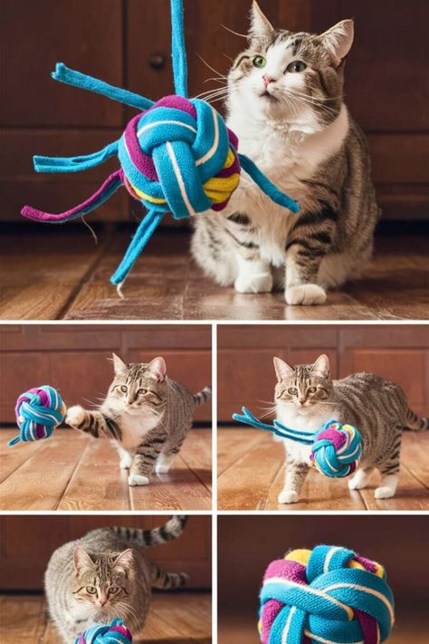 Top 15 DIY Cat Toys [Make Within Miutes] Cats Diy Toy, No Sew Cat Toys, Diy Cat Toys Interactive, Diy Cat Enrichment, Cat Toy Diy, Diy Catnip Toys, Diy Cat Toys Easy, Cat Diy Crafts, Cat Enrichment