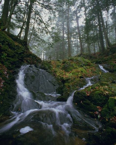 Porcupine Mountains, Presque Isle, Downhill Skiing, Bait And Tackle, Cross Country Skiing, Chamber Of Commerce, Lake Superior, The Visitors, Great Lakes