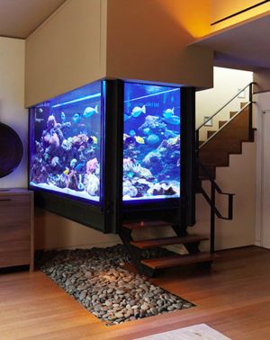 I have always wanted one of those. I know that it would be way too expensive and lot's of work. So Zen though. Wall Aquarium, Amazing Aquariums, Cool Fish Tanks, Saltwater Fish Tanks, Fish Tank Design, Aquarium Terrarium, Divider Design, Salt Water Fish, Home Aquarium