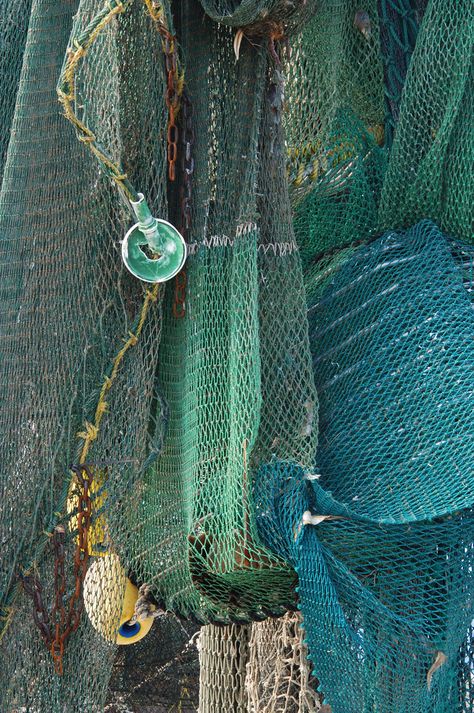 Descendants Dr, Foto Macro, Salt Water Fishing, Fishing Nets, Fishing Net, Aqua Turquoise, Descendants, Color Textures, Yin Yang