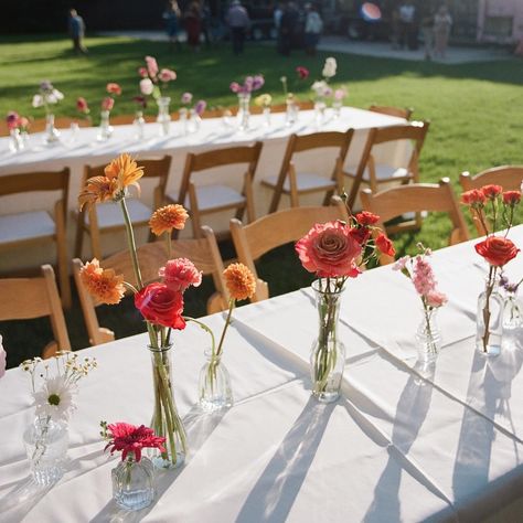 wedding table bud vases Wedding Table Bud Vases, Bud Vases Arrangements, Vase Arrangements, Bright Flowers, Flower Bud, Bridal Flowers, Complementary Colors, Bud Vase, Boutonniere