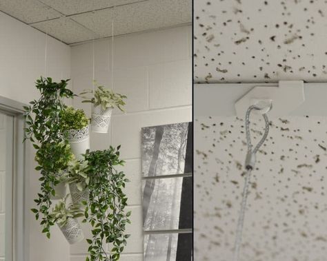 Hang Plants From Ceiling, Classroom Ceiling, Hide Pipes, Ceiling Hangers, Doctors Office Decor, Office Ceiling, Drop Ceiling, Dropped Ceiling, Suspended Ceiling