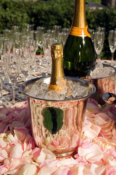 Veuve on Ice Champagne And Caviar, Veuve Cliquot, Colin Cowie Wedding, Champagne Brunch, Champagne Taste, Champagne Bucket, Champagne Party, Champagne Bar, Food Jewelry