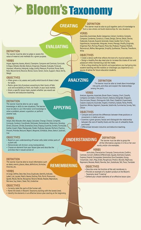 Bloom’s Taxonomy, Bloom's Taxonomy, Teaching Philosophy, Higher Order Thinking Skills, Blooms Taxonomy, Effective Study Tips, Curriculum Design, Teaching Techniques, Effective Teaching