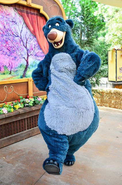 Baloo Costume, Teddy Bear Patterns Free, Cute Disney Characters, Bear Patterns Free, Disney World Pictures, Bear Costume, Teddy Bear Pattern, Disney Costumes, Bear Pattern