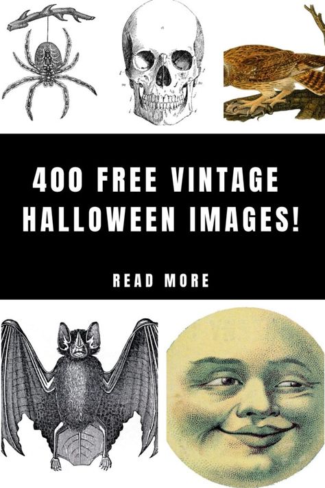 Vintage Halloween Banner, Free Halloween Printables Vintage, Vintage Halloween Decorations Diy, Vintage Halloween Diy, Sticker Projects, Halloween Stickers Printable, Vintage Labels Printables Free, Vintage Halloween Prints, Family Clip Art