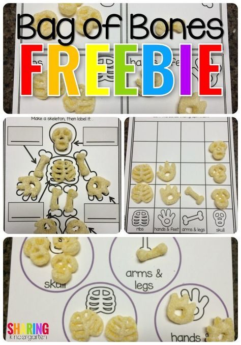 Bag Of Bones, Halloween Activities Preschool, Halloween Centers, Activity For Kindergarten, Halloween Kindergarten, Fall Kindergarten, Halloween Classroom, Science Activity, Halloween Math