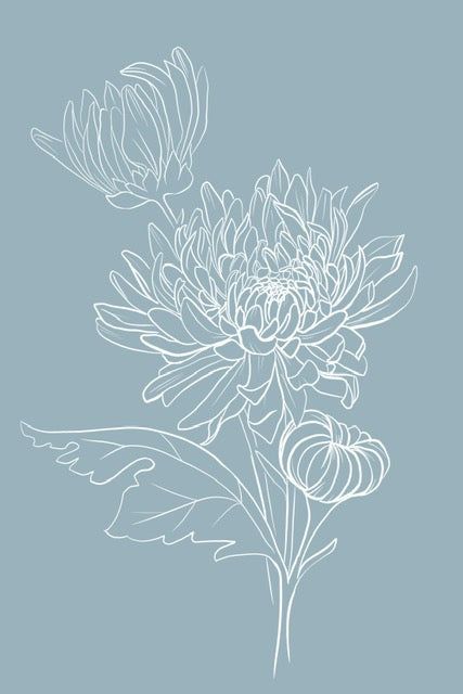 Iphone Wallpaper Bright, Tapestry Hanger, Flowers Prints, Botanical Line Drawing, Traditional Tattoo Sleeve, Flower Tapestry, Textile Pattern Design, Graphic Wallpaper, Floral Prints Art