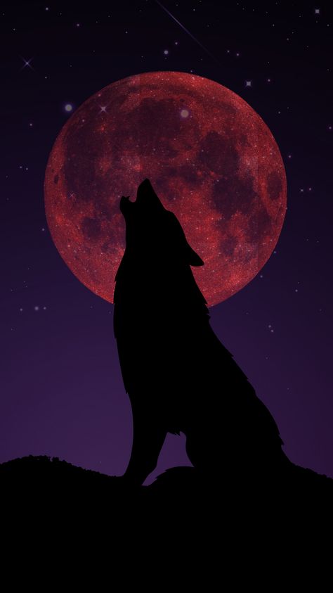 Alpha Wolf Wallpaper, 70 Aesthetic, Lup Singuratic, System Wallpaper, Amoled Wallpapers, Wolf Painting, Alpha Wolf, Wolf Spirit Animal, Werewolf Art