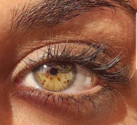 Ig Makeup, Rare Eyes, Beautiful Eyes Color, Eye Photography, Aesthetic Eyes, Instagram Makeup, Gorgeous Eyes, Hazel Eyes, Makeup Pictures