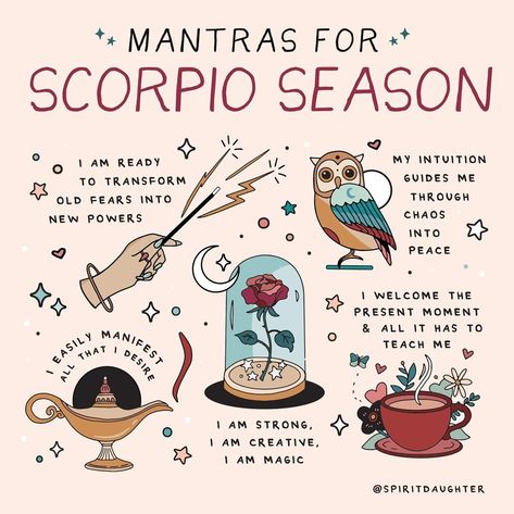 Spirit Daughter on Instagram: “Repeat and repeat again...⁠ ⁠ #scorpioseason” Spirit Daughter, Scorpio Art, Spiritual Journals, Scorpio Season, Witch Spell Book, Baby Witch, Witch Magic, Scorpio Zodiac, Zodiac Art