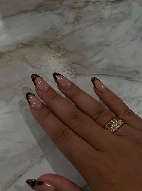 Leopard Tip Nails, Gold Foil French Tip Nails, Leopard Print Nails French Tip, Leaped Print French Tip, Leopard Tip Acrylic Nails, Lepord Nails Acrylic French Tip, French Tip Leopard Print, Leapord Print Nails French, Leopard French Nails