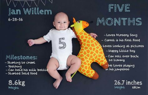 Five months old baby milestones Five Months Baby Photography, Month Cake, Nursery Songs, Baby Milestone Photos, Milestone Photos, Baby Sitting, Baby Milestone, Newborn Baby Photography, Baby Milestones