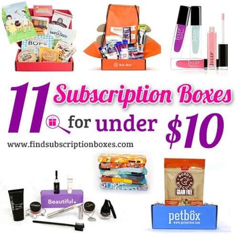 Cheap Subscription Boxes, Free Subscription Boxes, Birthday Present For Husband, Best Subscription Boxes, Polymer Clay Kawaii, Dog Box, Monthly Box, Free Subscriptions, Free Stuff By Mail