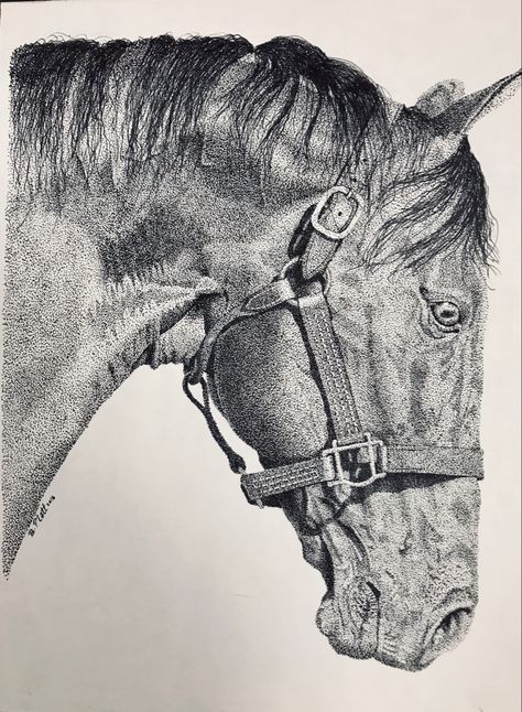 9x14, pen and ink stippling Dot Pen Drawing, Horse Pens, Stippling Drawing, Dotted Drawings, Cattle Ranch, Stippling Art, Hyper Realistic Paintings, Portfolio Site, Horse Drawings