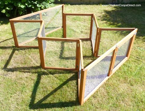 Folding Chicken Run.  Would add netting to the top to make it predator proof. Reban Ayam, Guinea Pig Run, Chicken Fence, Chicken Pen, Chicken Tractors, Chicken Tractor, Chicken Run, Chicken Cages, Keeping Chickens