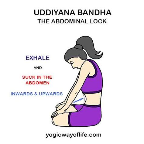 Uddiyana Bandha or the Abdominal Lock is one of the three main Bandhas or locks practised by yogis. It pulls the pranic energy upwards. Yoga Bandhas, Uddiyana Bandha, Bandha Yoga, Backbend Poses, Yoga Terms, Yoga Breathing Techniques, Yoga Vibes, Pranayama Techniques, Frases Yoga