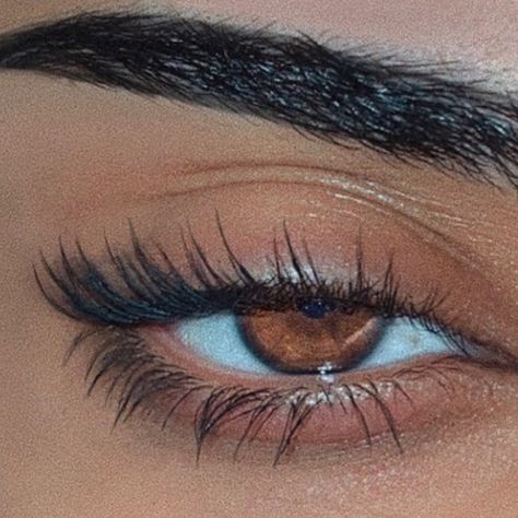 MICHEALLA on Instagram: “up close” Brown Eyes Aesthetic, Eyes Aesthetic, Pretty Brown Eyes, Amber Eyes, Beautiful Brown Eyes, Brown Eyed Girls, Eye Mascara, Aesthetic Eyes, Long Lashes