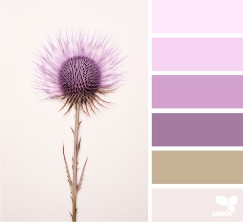 Design Seeds: Thistled Tones Inspiration Color Palettes, Colour Crush, Palette Design, Design Seeds, Color Palette Design, Spring Design, Color Crush, Color Set, Color Chart