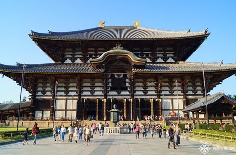 The gigant Todai-ji temple in Nara, Japan Japan Tourist Spots, Japanese Buddhism, Nara Japan, Japan Architecture, Japan Itinerary, Japanese Temple, Asian Architecture, Yamagata, Japan Travel Guide