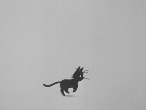 cat black and white cute cartoon kitten Sailor Moon Cat, Cat Run, Cat Comics, Kitten Gif, Motion Design Animation, Animation Reference, Cute Cat Gif, Hayao Miyazaki, Animation Design