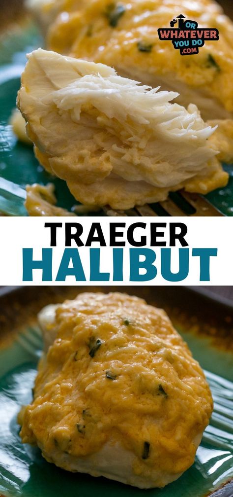 Our Traeger Halibut with Parmesan Crust was SO easy, took just 20 minutes to make, and was easily one of my favorite pieces of halibut I've had all year. Treager Halibut Recipes, Grilled Halibut Recipes, Smoked Halibut, Halibut Recipes Baked, Smoked Recipes, Traeger Grill Recipes, Grilled Halibut, Outdoor Cooking Recipes, Halibut Recipes