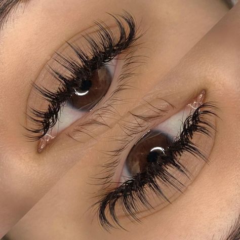 Eyelash Extensions Wet Set, D Curl Lashes Extensions, ต่อขนตา Wet Look, Spikey Lash Extensions, Eyelash Extensions Wet Look, Wispy Wet Lash Extensions, Light Wispy Eyelash Extensions, Wispy Wet Set, Wet Eyelash Extensions