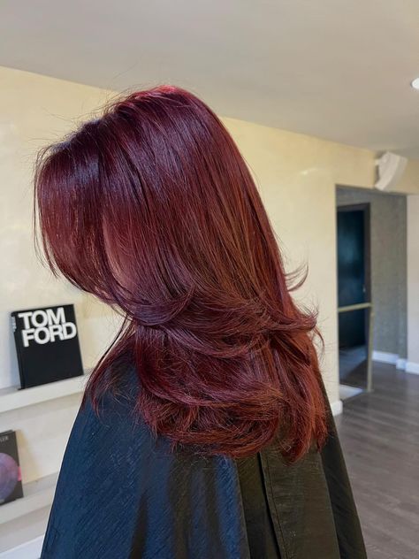 Red Butterfly Haircut, Black Red Balayage, Mahogany Red Hair Color, Haircuts For Black Boys, Red Hair Layers, Eggplant Hair, Hair Supply Store, Medium Layers, Cherry Cola Hair