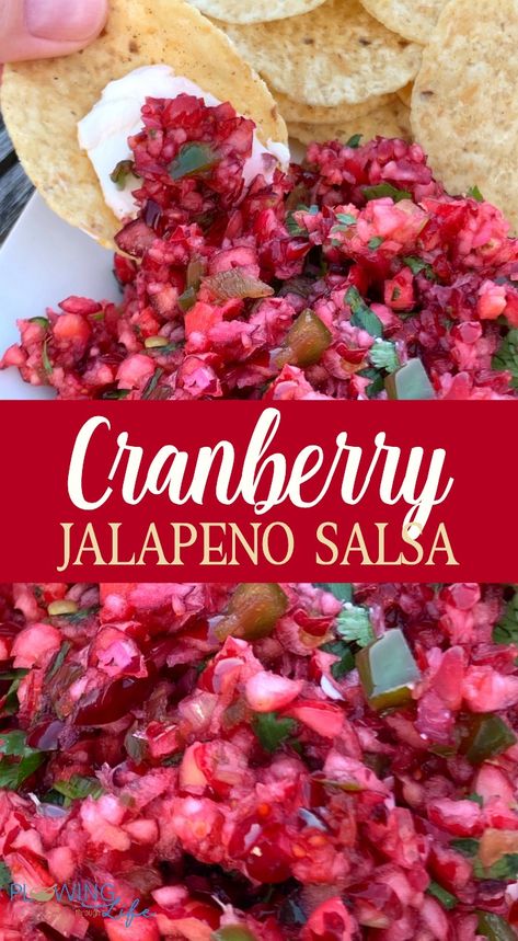 Cranberry Recipes Thanksgiving, Jalapeno Salsa Recipe, Fresh Cranberry Recipes, Jalapeño Salsa, Cranberry Jalapeño, Cranberry Salsa, Jalapeno Dip, Cranberry Relish, Jalapeno Recipes