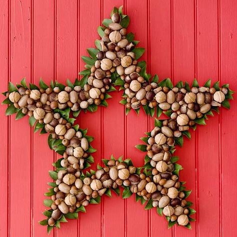 Transform Nuts into a Star Wreath Nut Wreath, Star Wreath Form, Julkransar Diy, Navidad Natural, Flowers Ornaments, Wire Star, Making Ornaments, Star Wreath, Diy Star