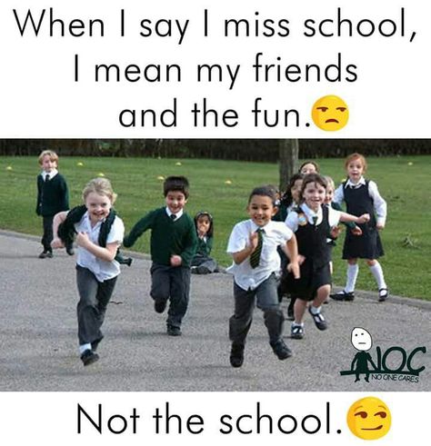 School Life Quotes, Exam Quotes Funny, Bff Quotes Funny, School Friends, Funny Texts Jokes, School Quotes Funny, School Jokes, Best Friend Quotes Funny, Funny School Jokes