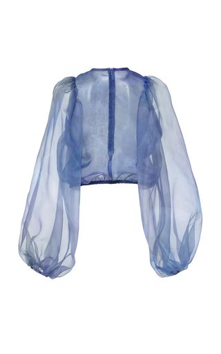 Blue Nebula, Fashion Collection Inspiration, Tulle Blouse, Poet Shirt, Transparent Top, Organza Top, Formal Tops, Organza Sleeves, Tulle Sleeves