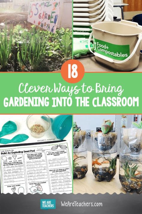 School Garden Club, Preschool Garden, Garden Activities, Science Club, Outdoor Classroom, School Garden, Kids Classroom, Parts Of A Plant, Project Based Learning