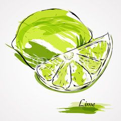 lime fruits Lime Tatoos, Lime Drawings, Lime Art, Lime Fruit, Affiches D'art Déco, Fruit Vector, Art Tutorials Watercolor, Watercolor Paintings For Beginners, Watercolor Fruit