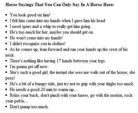 Things you can only say in a horse barn Horse Sayings, Locks Of Love, Equestrian Quotes, Equestrian Problems, Funny Horses, Thoroughbred Horse, All About Horses, Horse Quotes, Funny Horse