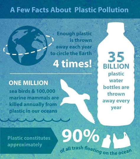 Did you know that there is enough plastic thrown away each year to cirlce the Earth 4 times? Check out the rest of this great information. What can you do to help make a change? Norwex can help! Pollution Quotes, Environment Day, World Environment Day, Plastic Pollution, Marine Mammals, Recycle Trash, Make A Change, Sea Birds, One In A Million