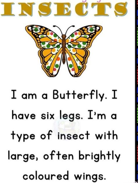 Insects worksheet .few lines on Butterfly. Easy reading worksheet . reading activity . Grasshopper Activities, Insect Worksheet, Butterfly Worksheet, Reading Comprehension For Kids, Fun Worksheets For Kids, English Activities For Kids, Insects Theme, Picture Composition, Reading Activity