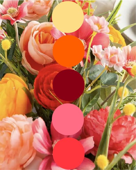 Watermelon Wedding Color, Pink And Orange Wedding Palette, Orange Wedding Pallet, Red Pink Orange Yellow Color Palette, Bridesmaids Color Palette Summer, Pink Red Yellow Color Palette, Pinks And Orange Wedding, Spring Sunset Wedding Colors, Sunset Colour Palette Wedding