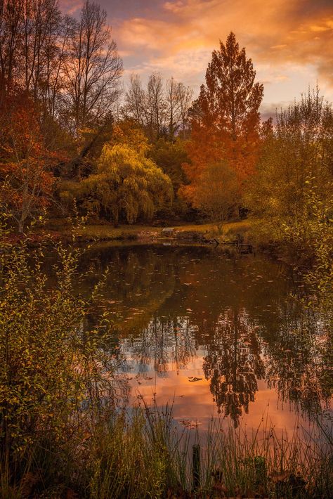 https://flic.kr/p/PhfuC6 | Autumn at the lake Landscape Photography Autumn, Fall Lake Aesthetic, Autumn Lake Aesthetic, Season Poem, Winter Widgets, Fall Wonderland, November Vibes, Tis Autumn, Fall Widgets