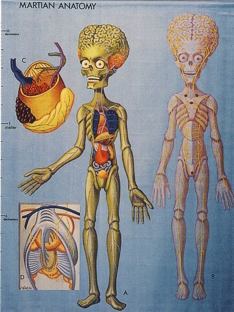 Martian anatomy. Robot Monster, Mars Attacks, Alien Art, Science Fiction Art, Geek Culture, Pin Up Art, Anatomy Art, Cthulhu, The Martian