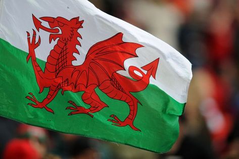 The Welsh flag is named the coolest in the world - Wales Online Welsh National Anthem, Flag Aesthetic, Welsh Words, Wales Flag, Welsh Language, Welsh Flag, Maori People, Katherine Jenkins, Flags With Names