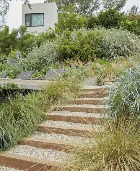 Hillside Pool, Native Plant Landscape, Beach House Renovation, Coastal Exterior, Landscape Stairs, Ranch Exterior, California Native Plants, Sloped Garden, London Garden