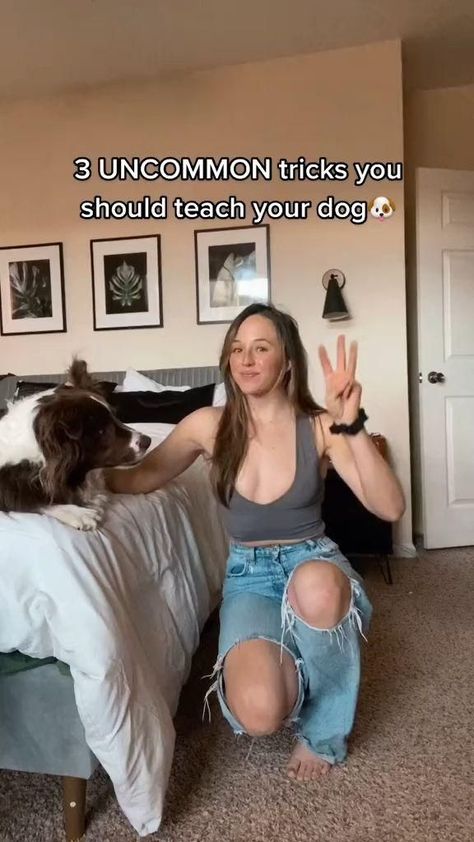 3 Uncommon Tricks You Should Teach Your Dog. Cool Dog Tricks, Teach Dog Tricks, Puppy Training Tips, Dog Training Videos, Really Cute Dogs, Dog Hacks, Puppy Care, Pet Hacks, Dog Training Obedience