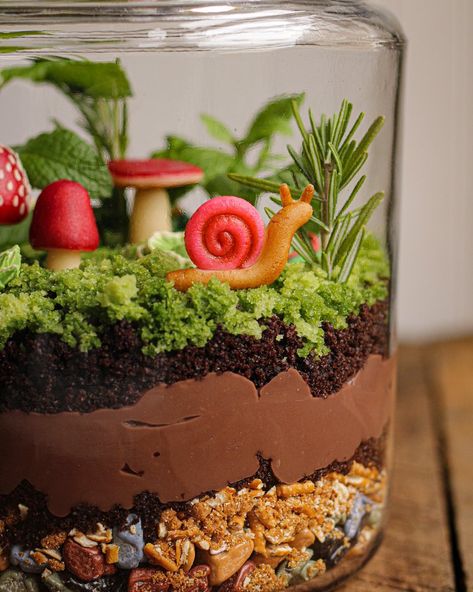 Edible Terrarium, Terraria Cake, Mushroom Cake, Chocolate Rocks, Swirled Bread, Cute Baking, Follow Button, Chocolate Pudding, Cake Decorating Tips