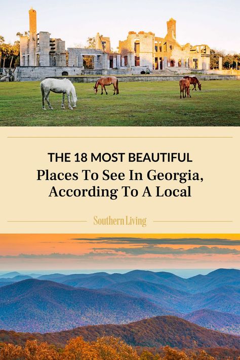 Georgia is home to sweeping farmlands, soaring mountain ranges, lush pine forests, and breezy barrier islands. Here are the 18 most beautiful places in Georgia to visit, according to a born-and-raised local. #travel #southerntravel #georgia #georgiatravel #whattoseeingeorgia Georgia Aesthetic, Places In Georgia, Southern Road Trips, Travel Georgia, Georgia Coast, Georgia Vacation, Southern Travel, Travel Infographic, Georgia Travel