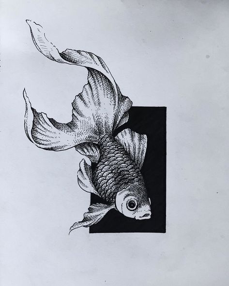 Deo Jahnu Affandy on Instagram: “Inktober Day 1/31 - Fish drawing pen on A5 paper #illustration #pointillism #inksketch #penandink #inkart #inkdrawing #inkonpaper #artwork…” Pen Fish Drawing, Pen Artwork Sketches, Drawing Ideas Black Pen, Black Pen Drawing Artworks, A5 Sketchbook Drawings, Pen Art Work Illustrations, Black Sketch Pen Art, Black Pen Art Work, Fish Pen Drawing