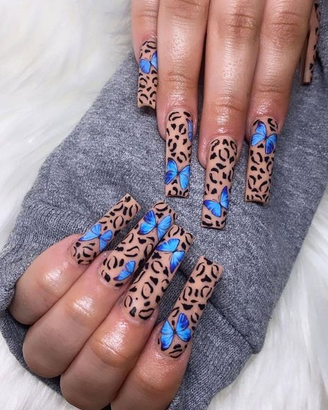 Romans 11, Print Nail Art, Cheetah Nail Designs, Cheetah Print Nails, Butterfly Nail Designs, Nail Board, Cheetah Nails, Leopard Print Nails, Butterfly Nail Art