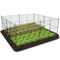 Garden Fence Cheap, Vegetable Garden Fence, Small Garden Fence, Garden Protection, Chicken Wire Fence, Wire Plant, Fenced Vegetable Garden, Plant Cages, Garden Fences