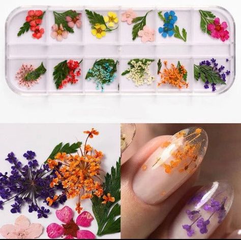 One Box Dried Flowers Style Options On Photos ** Type Of Flower Will Be The Same But Flower Color Does Vary Per Box** 3d Nail Art Designs, Flower Tray, Diy Flores, Gel Polish Manicure, Nail Art Set, Fake Nails With Glue, Nail Art Sticker, Resin Jewelry Making, Dry Nails